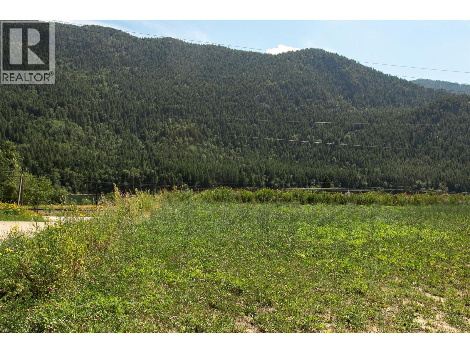 1411 Chalmers Road, Castlegar, British Columbia  V1N 4M7 - Photo 24 - 10349244