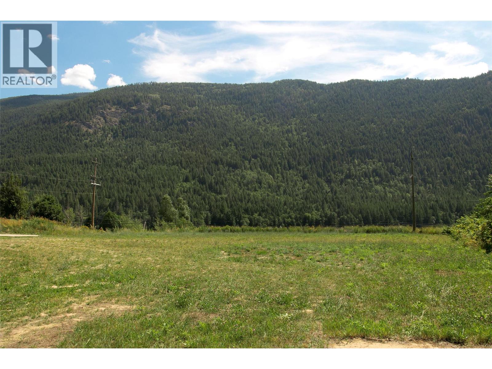 1411 Chalmers Road, Castlegar, British Columbia  V1N 4M7 - Photo 13 - 10349244