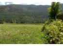 1411 Chalmers Road, Castlegar, BC V1N 4M7