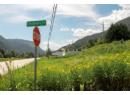 1411 Chalmers Road, Castlegar, BC V1N 4M7