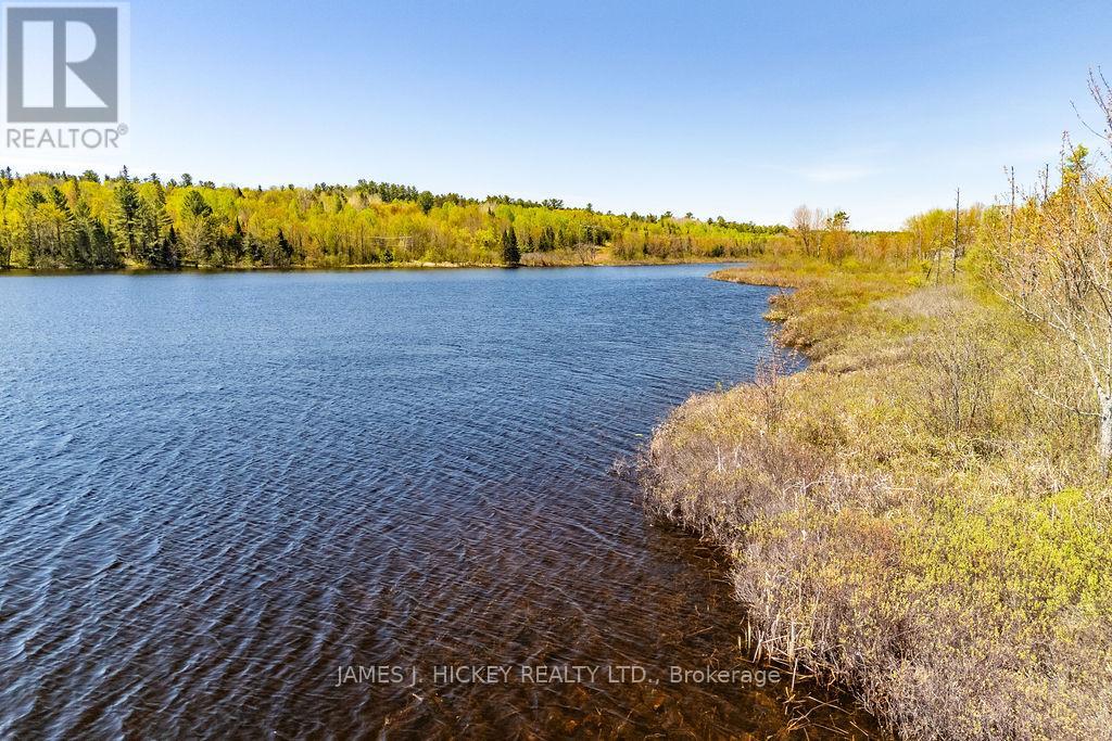 0 Corry Lake Road, Laurentian Hills, Ontario K0J 1J0 - Photo 32 - X13179084