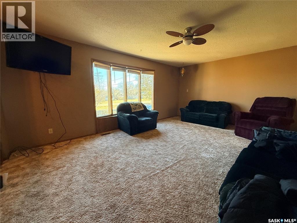 4419 Centre Street, Cadillac, Saskatchewan  S0N 0K0 - Photo 7 - SK037243