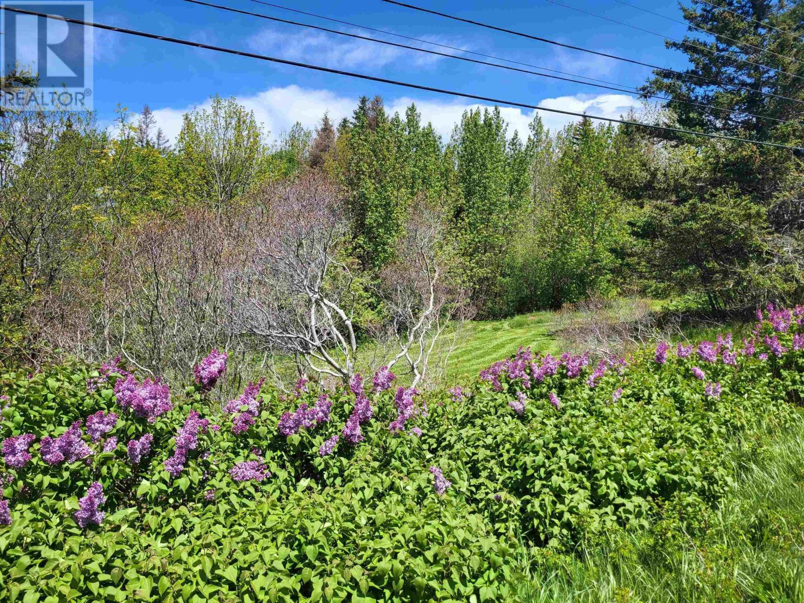 2999 Shore Road, Litchfield, Nova Scotia  B0S 1A0 - Photo 4 - 202602656