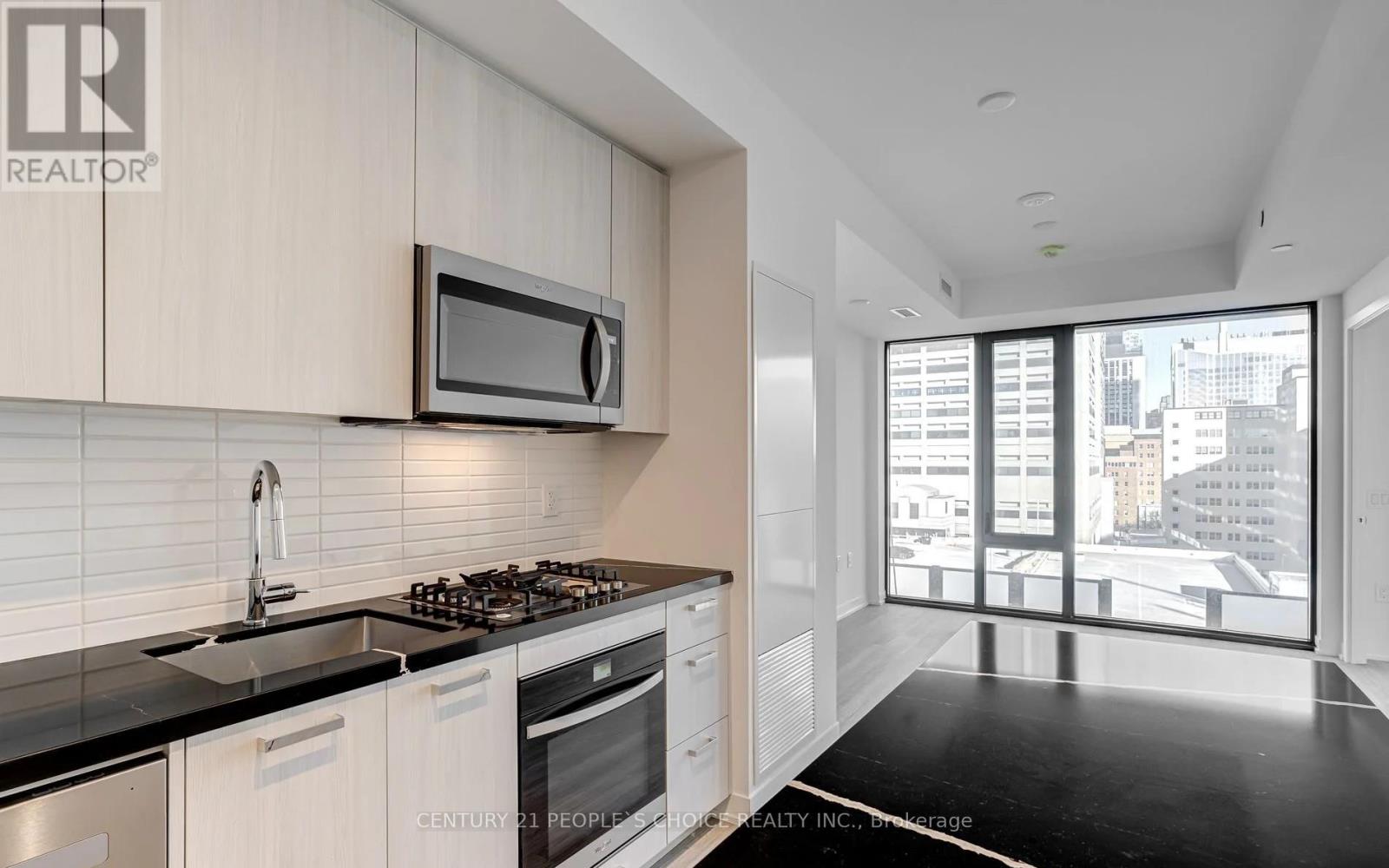 910 - 195 Mccaul Street E, Toronto, Ontario  M5T 1W6 - Photo 21 - C13179522