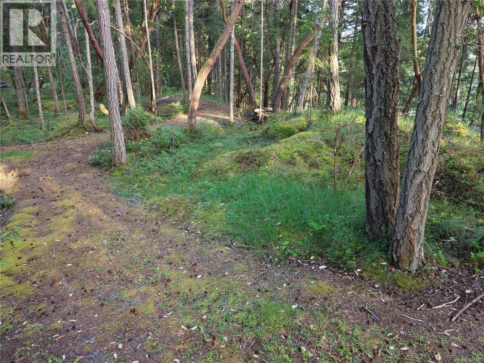 Lt 1 Ingram Rd, Nanaimo, British Columbia  V9X 1W8 - Photo 10 - 1037787