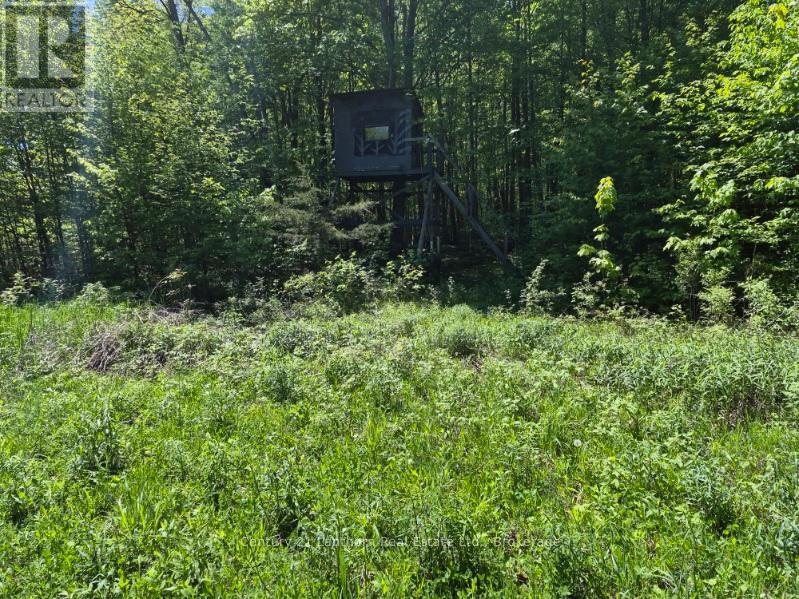 2147 Marlbank Road, Tweed, Ontario  K0K 3J0 - Photo 50 - X12873758