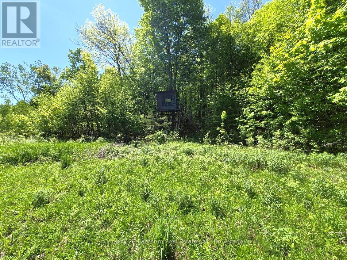2147 Marlbank Road, Tweed, Ontario  K0K 3J0 - Photo 49 - X12873758