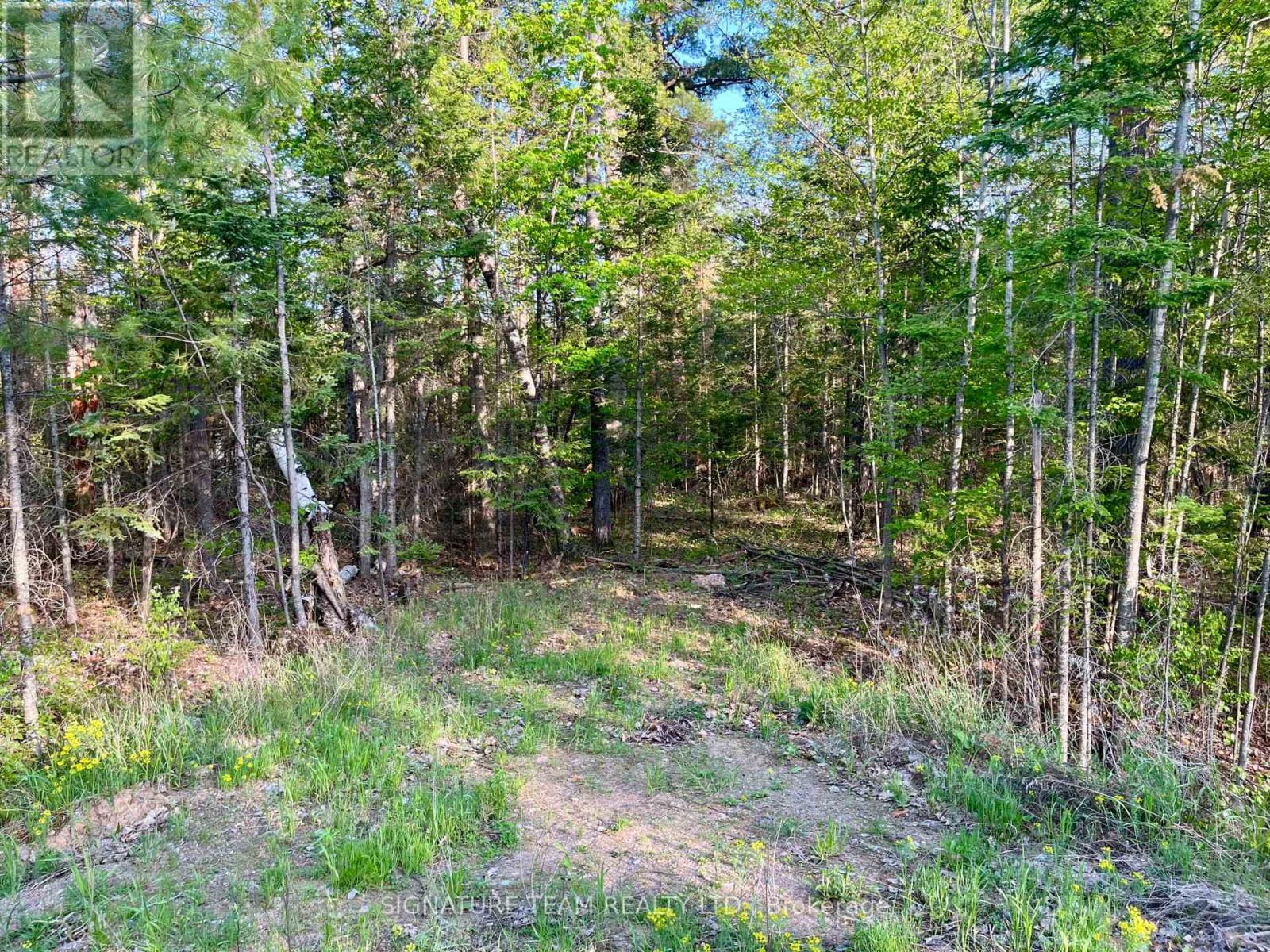 0 FOYMOUNT ROAD, Bonnechere Valley, Ontario
