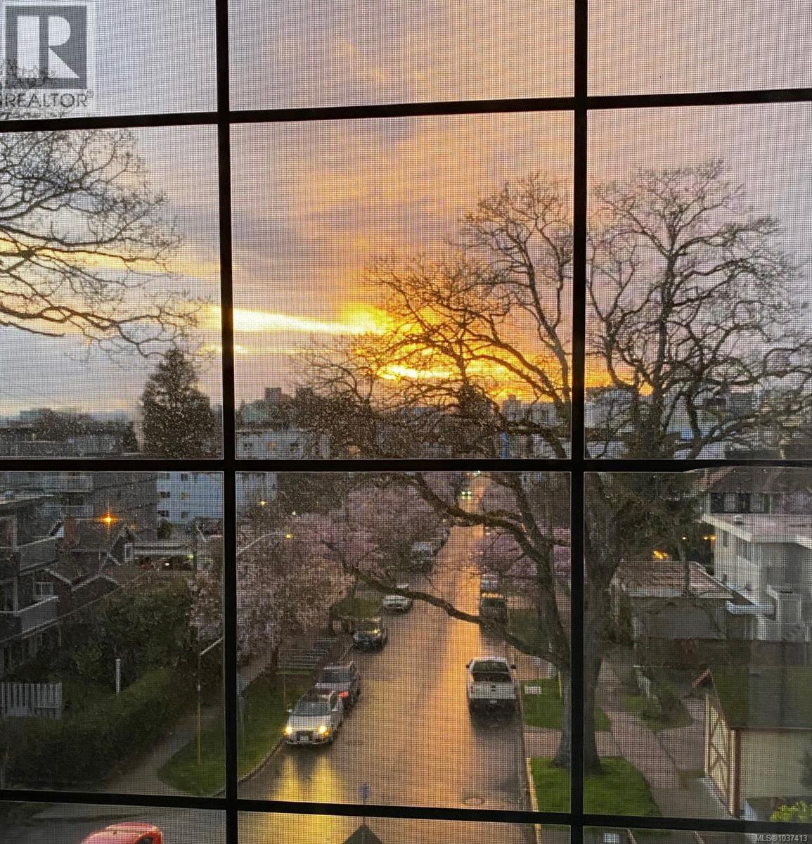 401 1060 Linden Ave, Victoria, British Columbia  V8V 4H2 - Photo 20 - 1037413