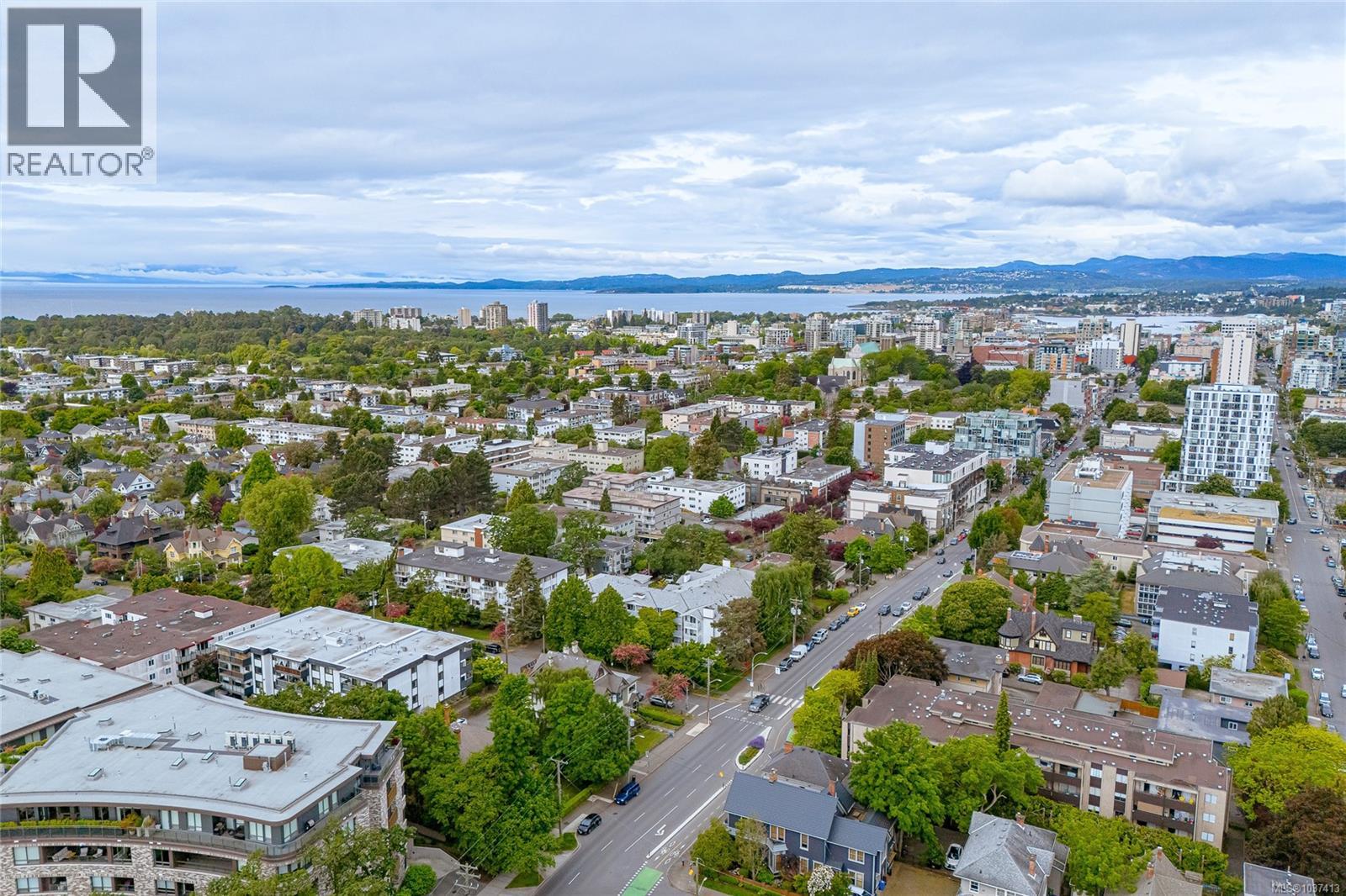 401 1060 Linden Ave, Victoria, British Columbia  V8V 4H2 - Photo 32 - 1037413