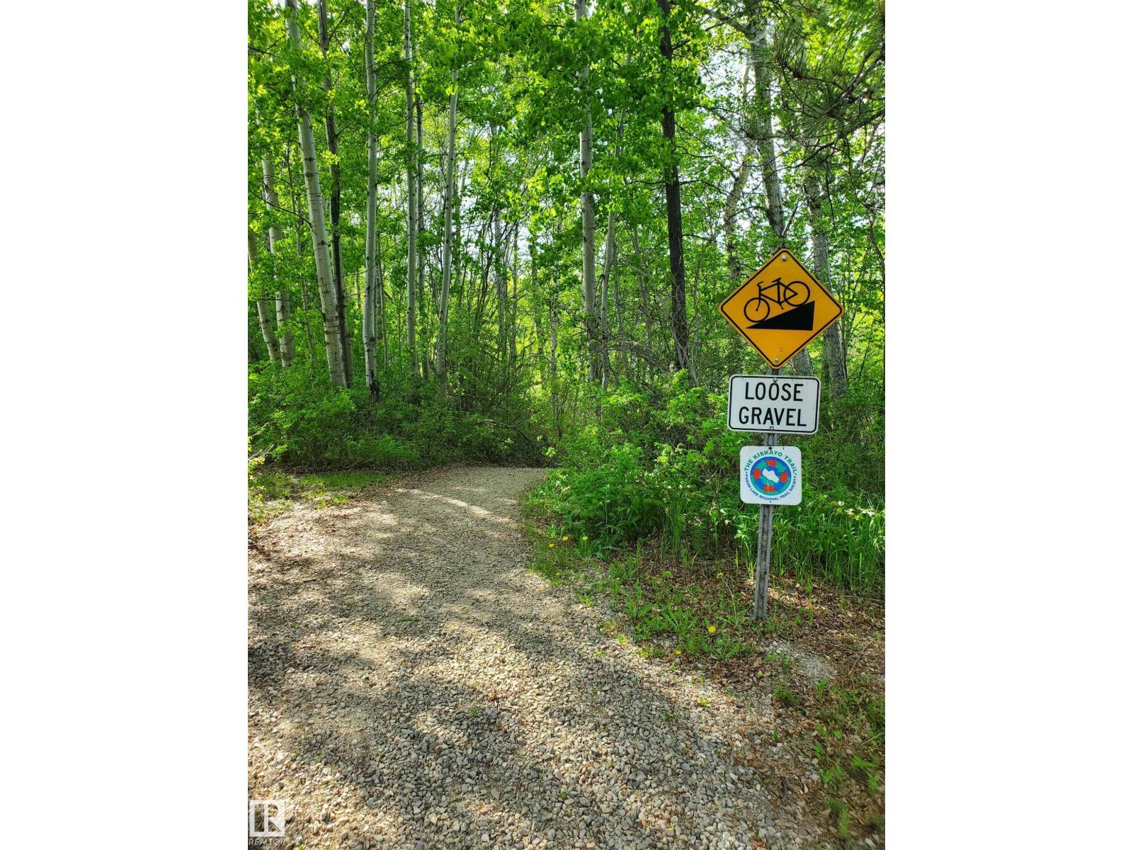 516 5 Norris Beach Pigeon Lake St, Rural Wetaskiwin County, Alberta  T0C 2V0 - Photo 17 - E4490101