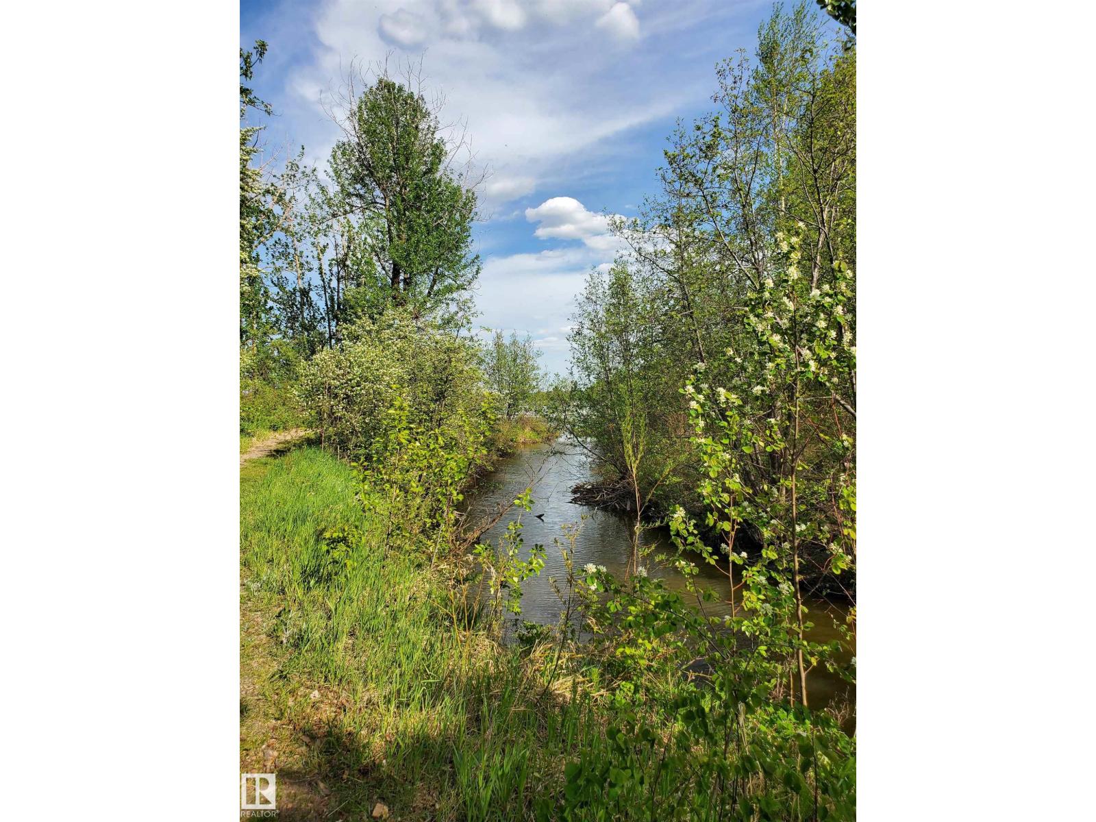 516 5 Norris Beach Pigeon Lake St, Rural Wetaskiwin County, Alberta  T0C 2V0 - Photo 19 - E4490101