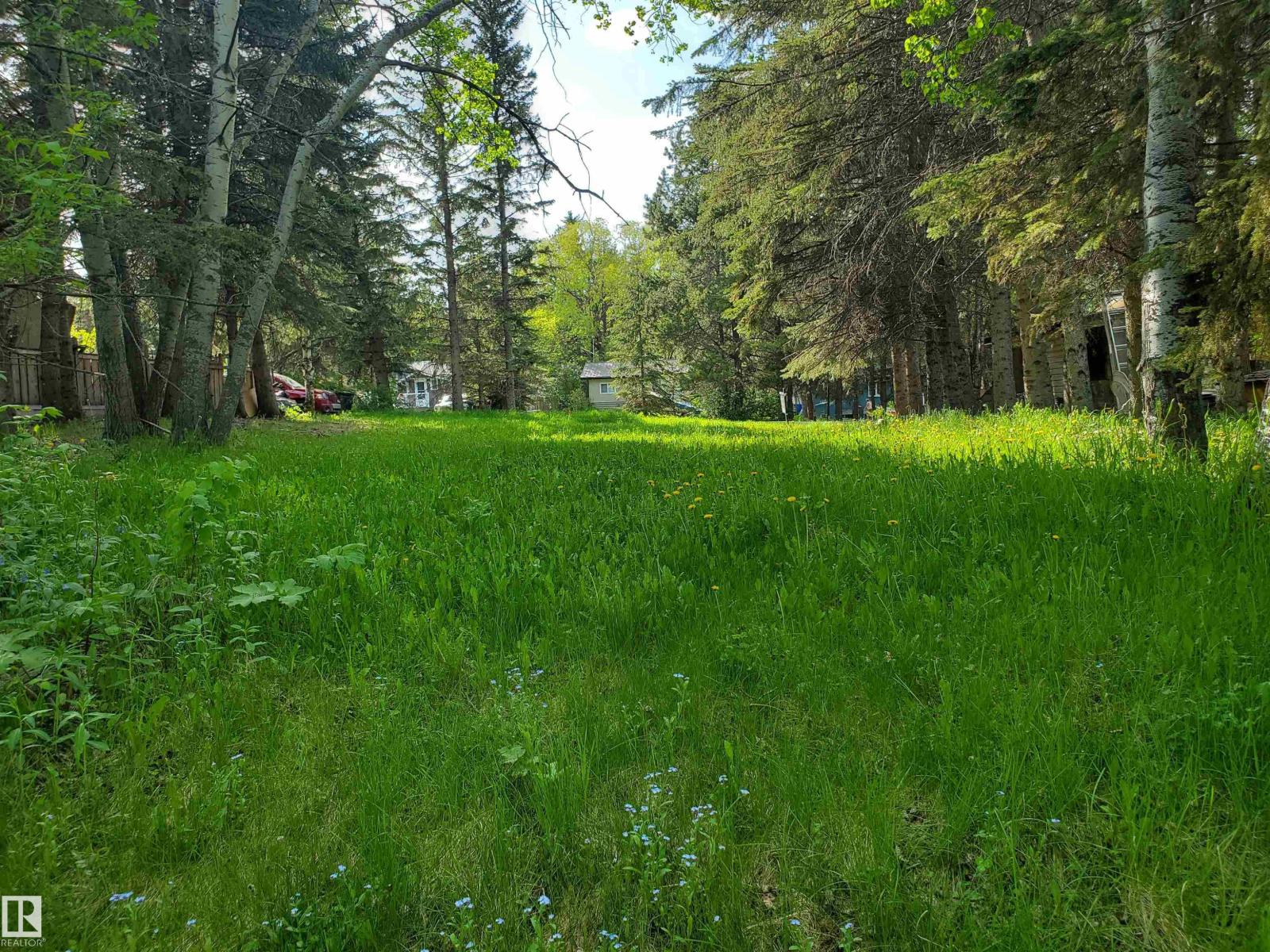 516 5 Norris Beach Pigeon Lake St, Rural Wetaskiwin County, Alberta  T0C 2V0 - Photo 2 - E4490101