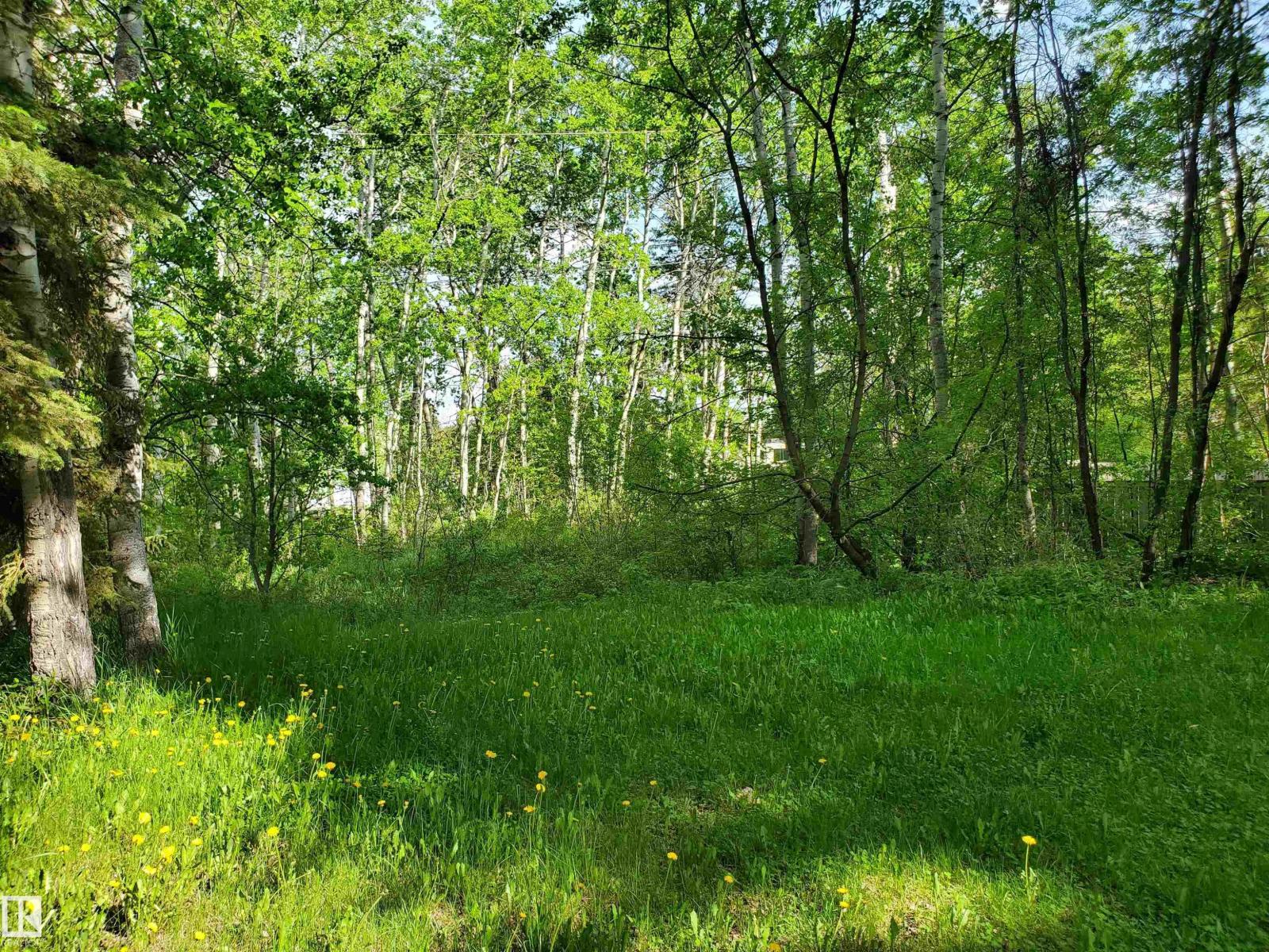 516 5 Norris Beach Pigeon Lake St, Rural Wetaskiwin County, Alberta  T0C 2V0 - Photo 3 - E4490101