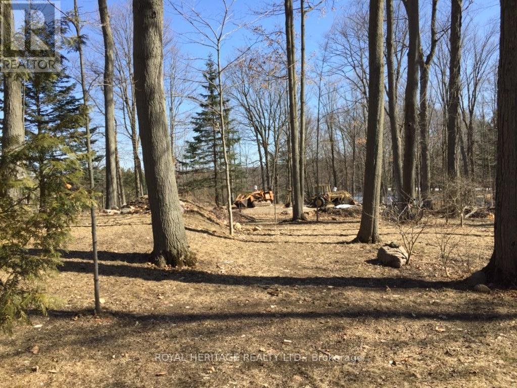 6677 Concession 2 Road, Uxbridge, Ontario  L6P 0H6 - Photo 13 - N13181074