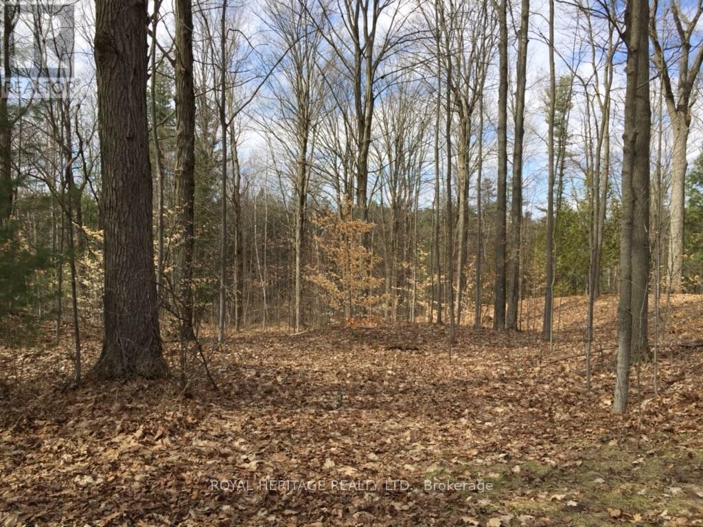 6677 Concession 2 Road, Uxbridge, Ontario  L6P 0H6 - Photo 22 - N13181074