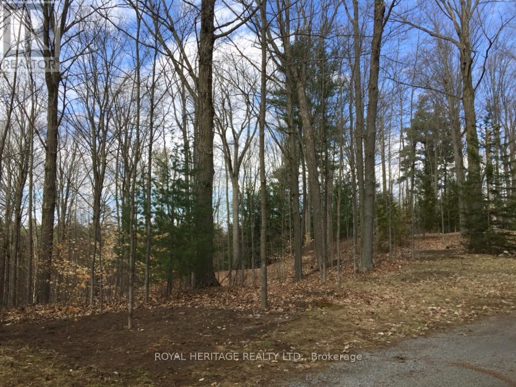 6677 Concession 2 Road, Uxbridge, Ontario  L6P 0H6 - Photo 23 - N13181074