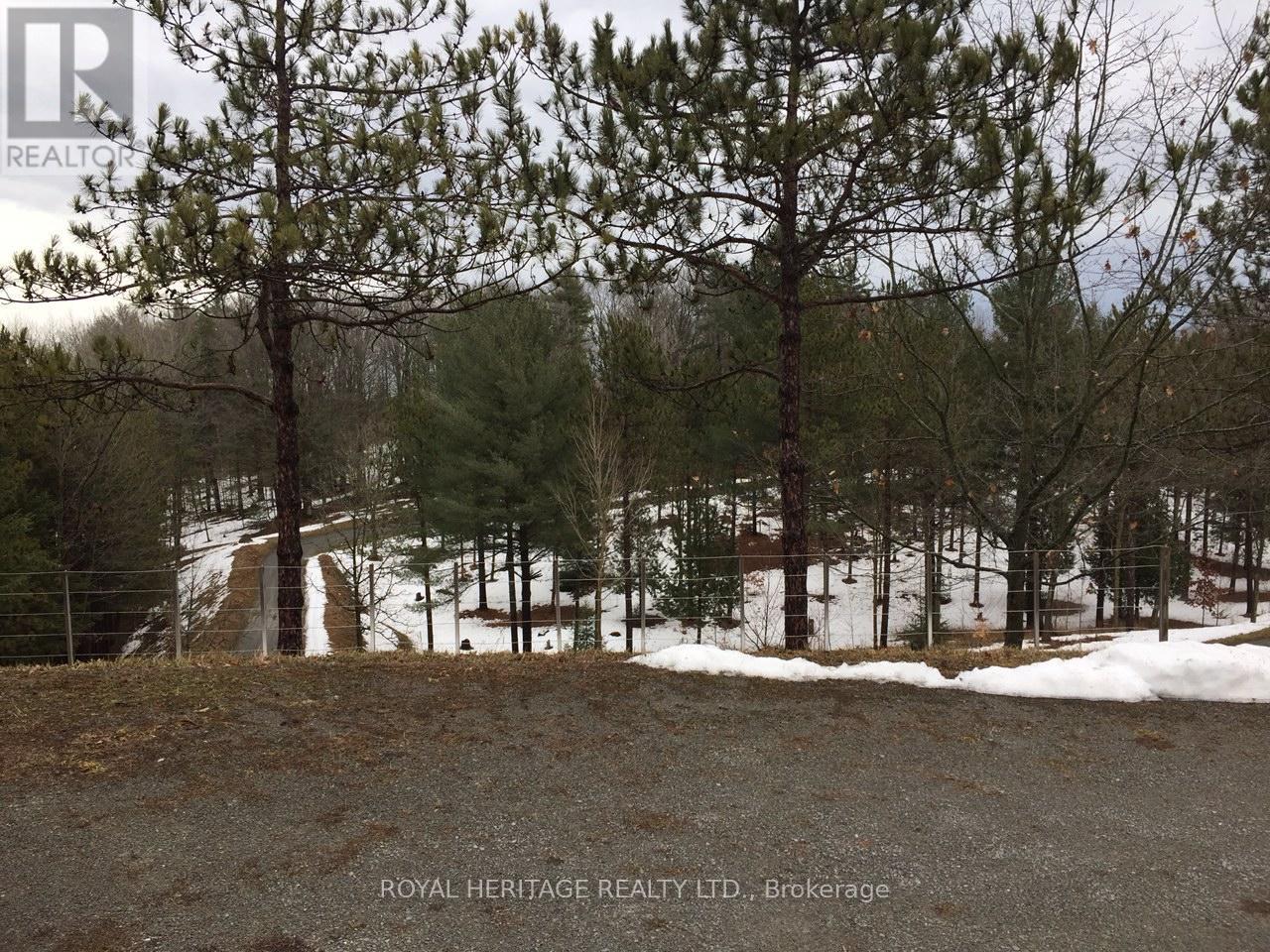 6677 Concession 2 Road, Uxbridge, Ontario  L6P 0H6 - Photo 29 - N13181074
