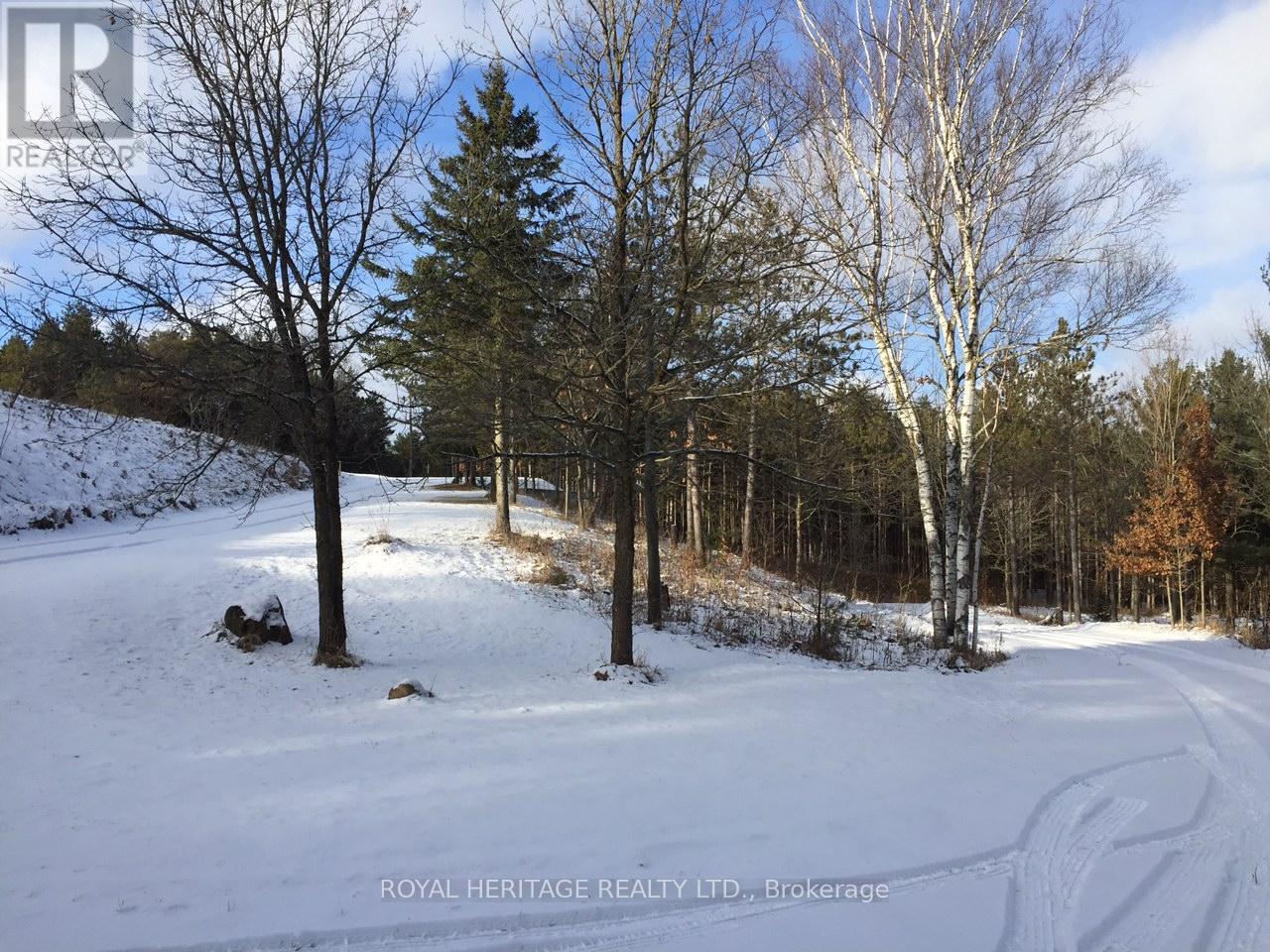 6677 Concession 2 Road, Uxbridge, Ontario  L6P 0H6 - Photo 30 - N13181074