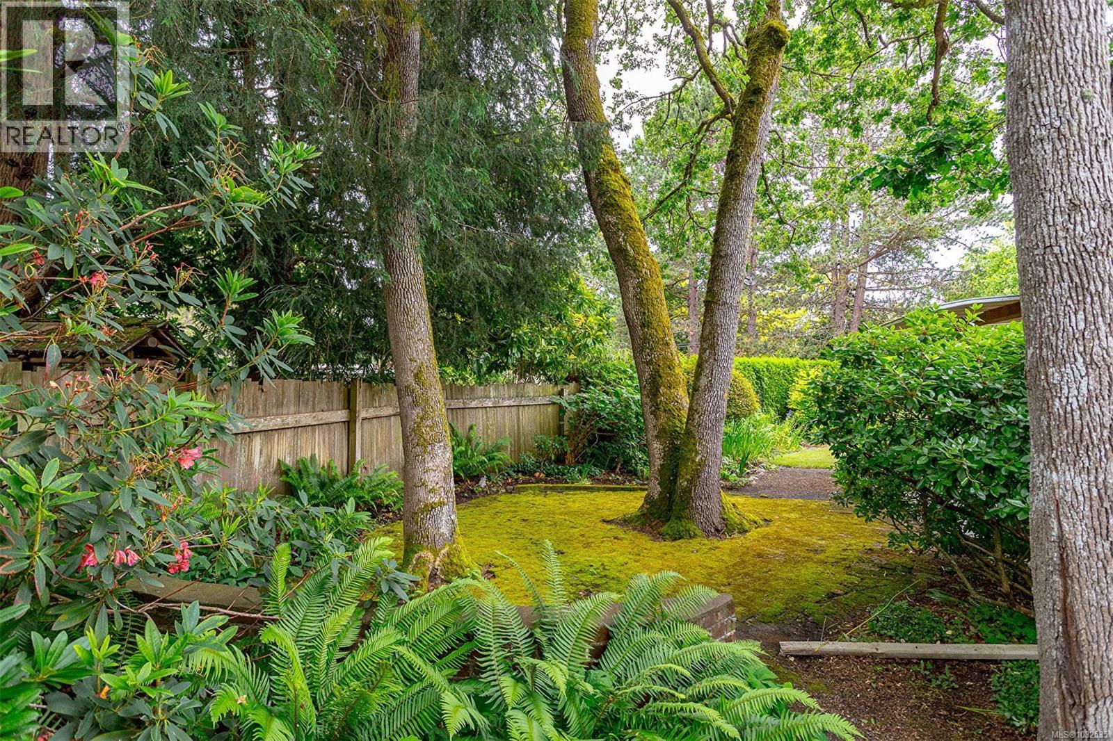 1941 Mayfair Dr, Saanich, British Columbia  V8P 1R1 - Photo 51 - 1032535