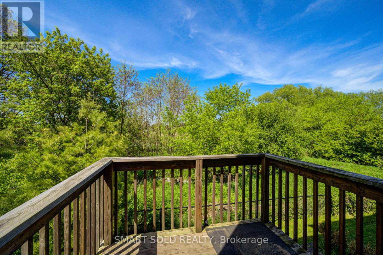 29 Plowman Lane, Richmond Hill, Ontario  L4S 0G4 - Photo 22 - N13181640