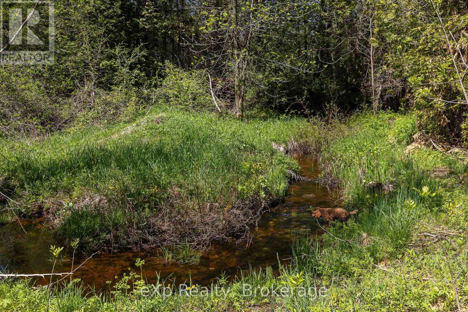 Pt Lt 17 Con 11, 12th Line, Meaford, Ontario  N4L 1W5 - Photo 22 - X13181996