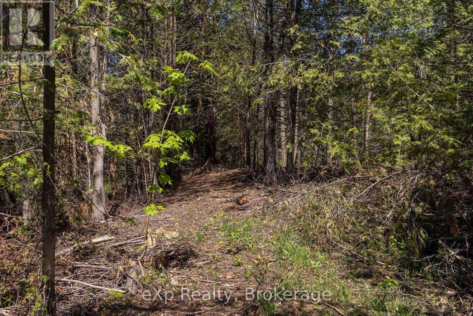 Pt Lt 17 Con 11, 12th Line, Meaford, Ontario  N4L 1W5 - Photo 24 - X13181996