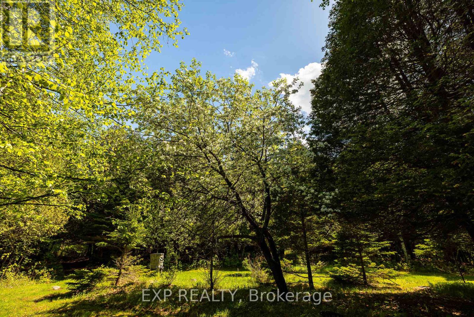 1493 5th Concession B Dalhousie Road, Lanark Highlands, Ontario  K0G 1K0 - Photo 37 - X13182570
