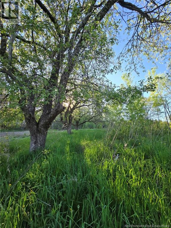 328 Drurys Cove Road, Drurys Cove, New Brunswick  E4E 3L6 - Photo 13 - NB139696