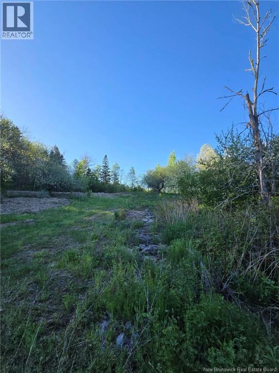 328 Drurys Cove Road, Drurys Cove, New Brunswick  E4E 3L6 - Photo 18 - NB139696