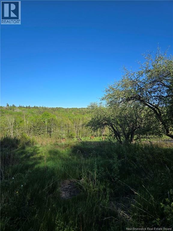 328 Drurys Cove Road, Drurys Cove, New Brunswick  E4E 3L6 - Photo 28 - NB139696