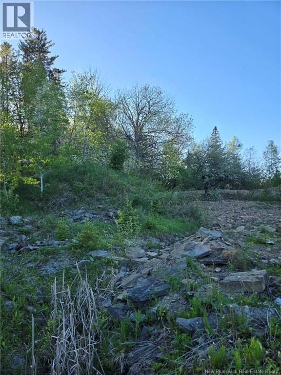 328 Drurys Cove Road, Drurys Cove, New Brunswick  E4E 3L6 - Photo 32 - NB139696