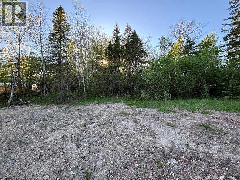 328 Drurys Cove Road, Drurys Cove, New Brunswick  E4E 3L6 - Photo 39 - NB139696