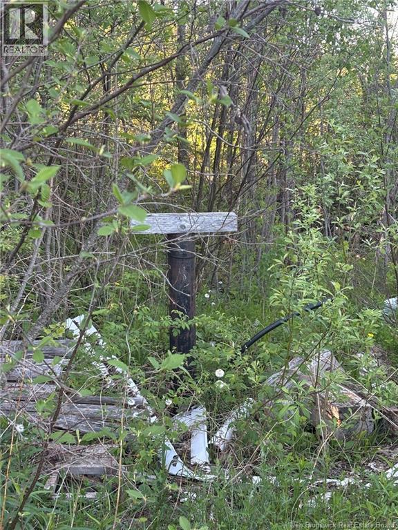 328 Drurys Cove Road, Drurys Cove, New Brunswick  E4E 3L6 - Photo 41 - NB139696