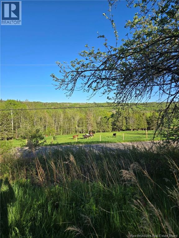 328 Drurys Cove Road, Drurys Cove, New Brunswick  E4E 3L6 - Photo 9 - NB139696