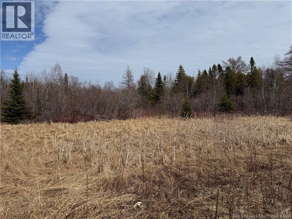 2.17 Acres Route 355, Sainte Rose, New Brunswick  E1X 2W3 - Photo 13 - NB138367