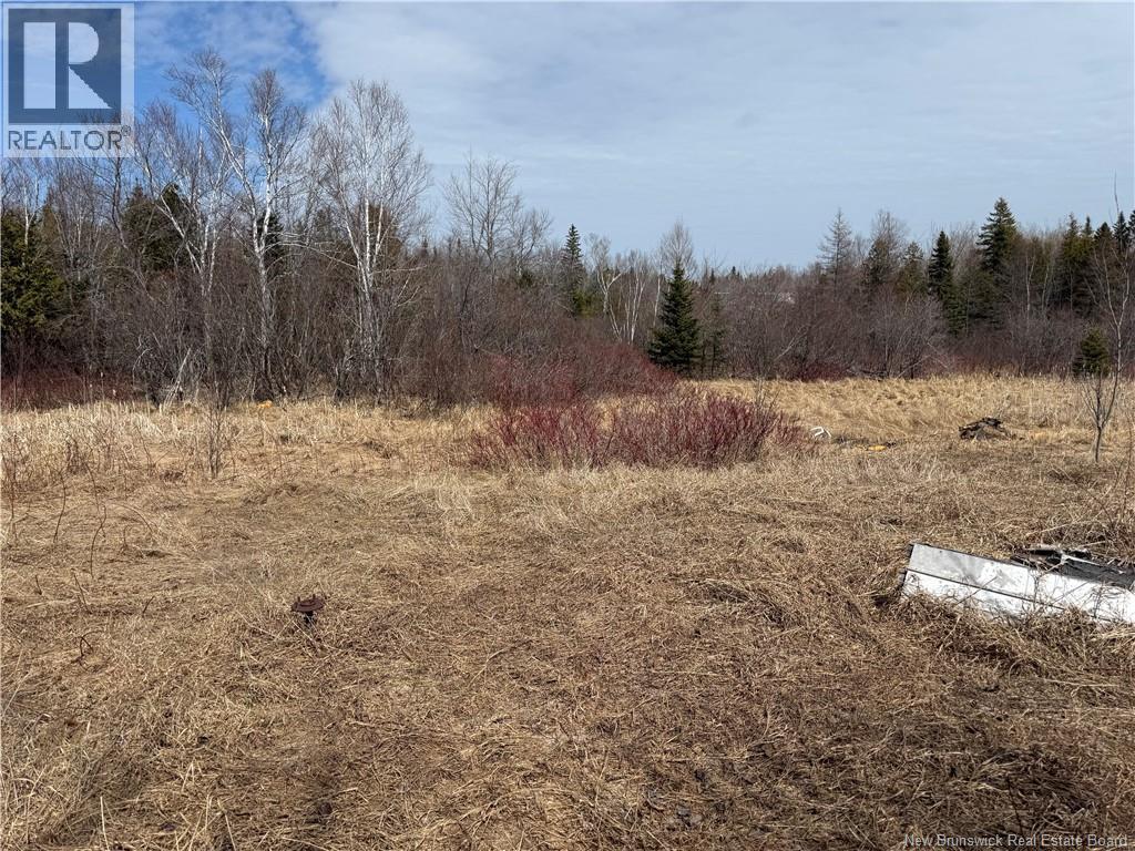 2.17 Acres Route 355, Sainte Rose, New Brunswick  E1X 2W3 - Photo 15 - NB138367