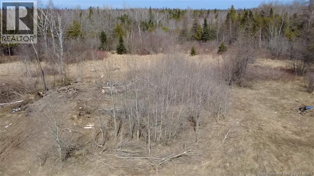 2.17 Acres Route 355, Sainte Rose, New Brunswick  E1X 2W3 - Photo 9 - NB138367