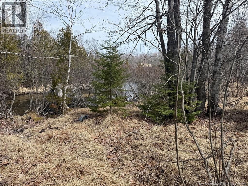 2.17 Acres Route 355, Sainte Rose, New Brunswick  E1X 2W3 - Photo 12 - NB138367