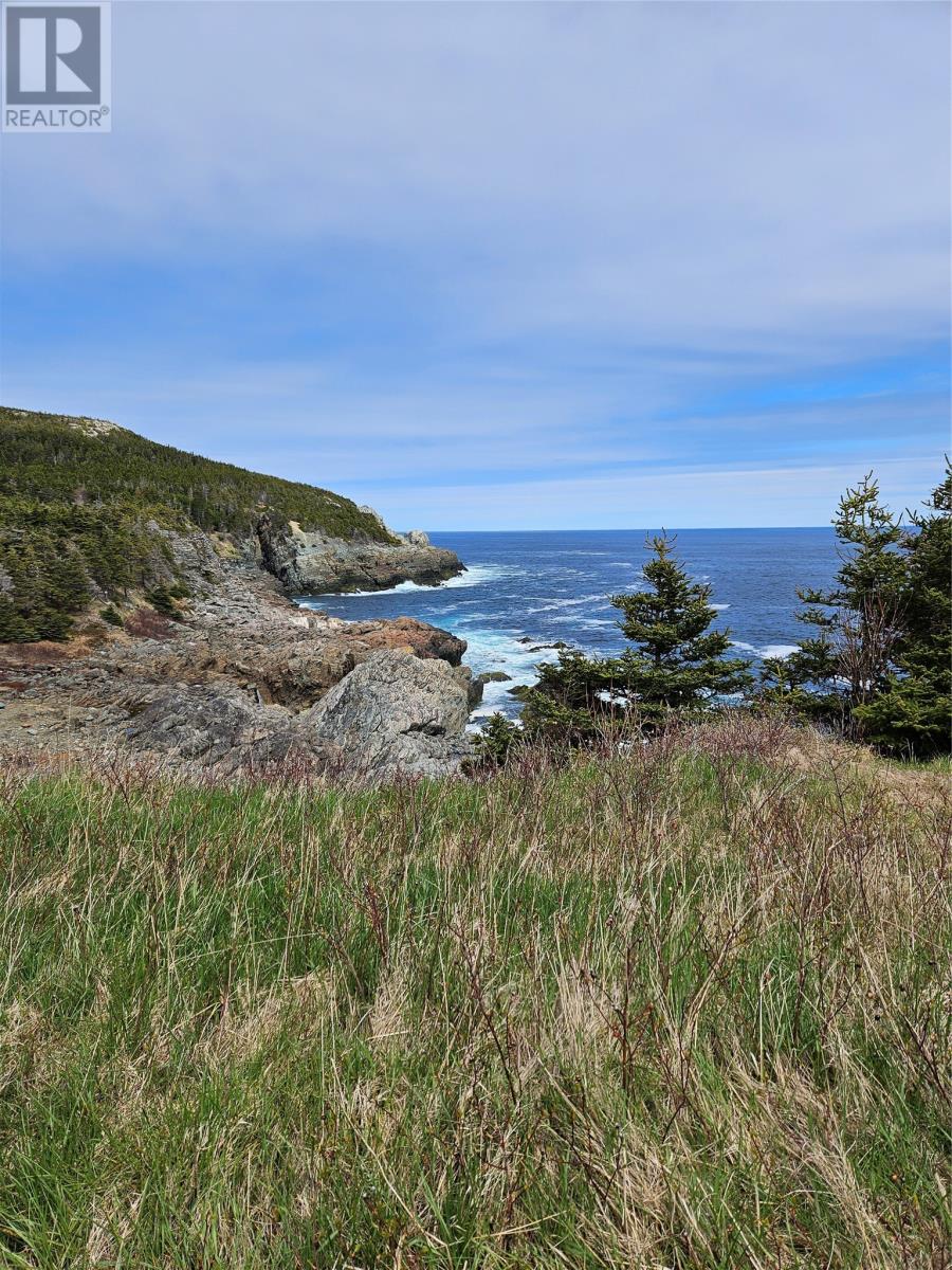 797-799 Main Road, Pouch Cove, Newfoundland & Labrador  A0A 3L0 - Photo 23 - 1297594