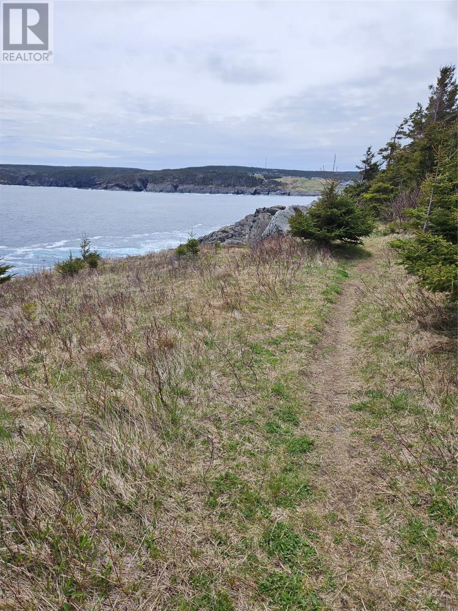 797-799 Main Road, Pouch Cove, Newfoundland & Labrador  A0A 3L0 - Photo 25 - 1297594