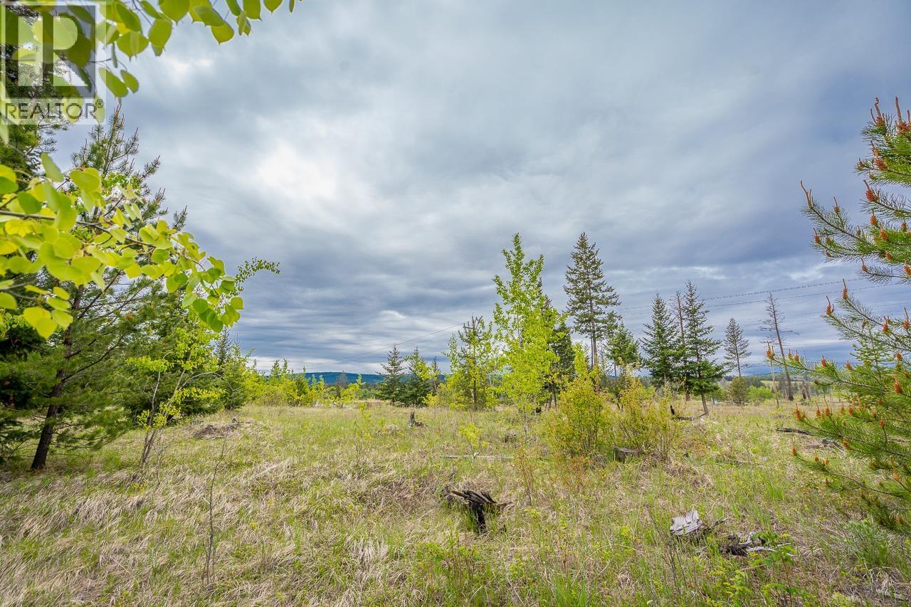 25 Cariboo 97 Highway, 100 Mile House, British Columbia  V0K 2E1 - Photo 11 - R3128527