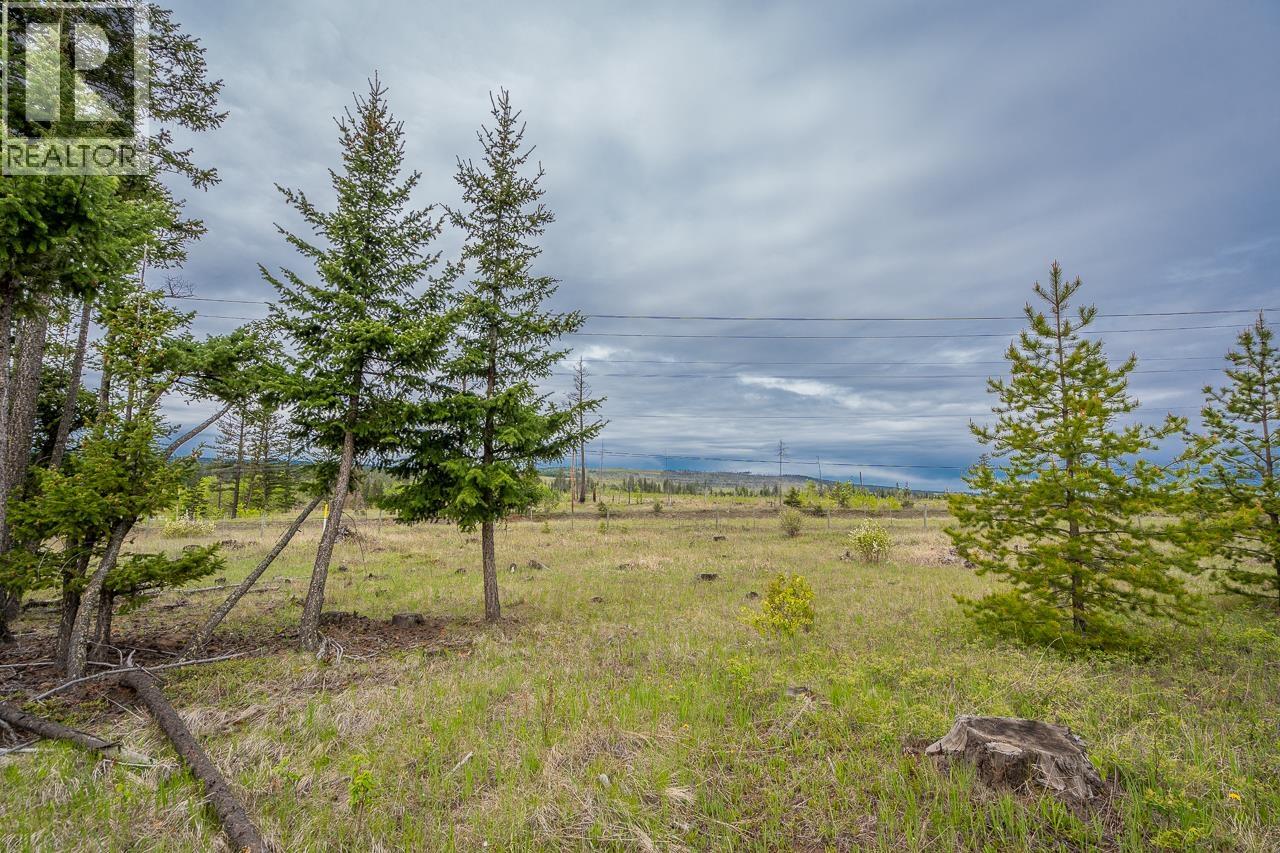 25 Cariboo 97 Highway, 100 Mile House, British Columbia  V0K 2E1 - Photo 12 - R3128527