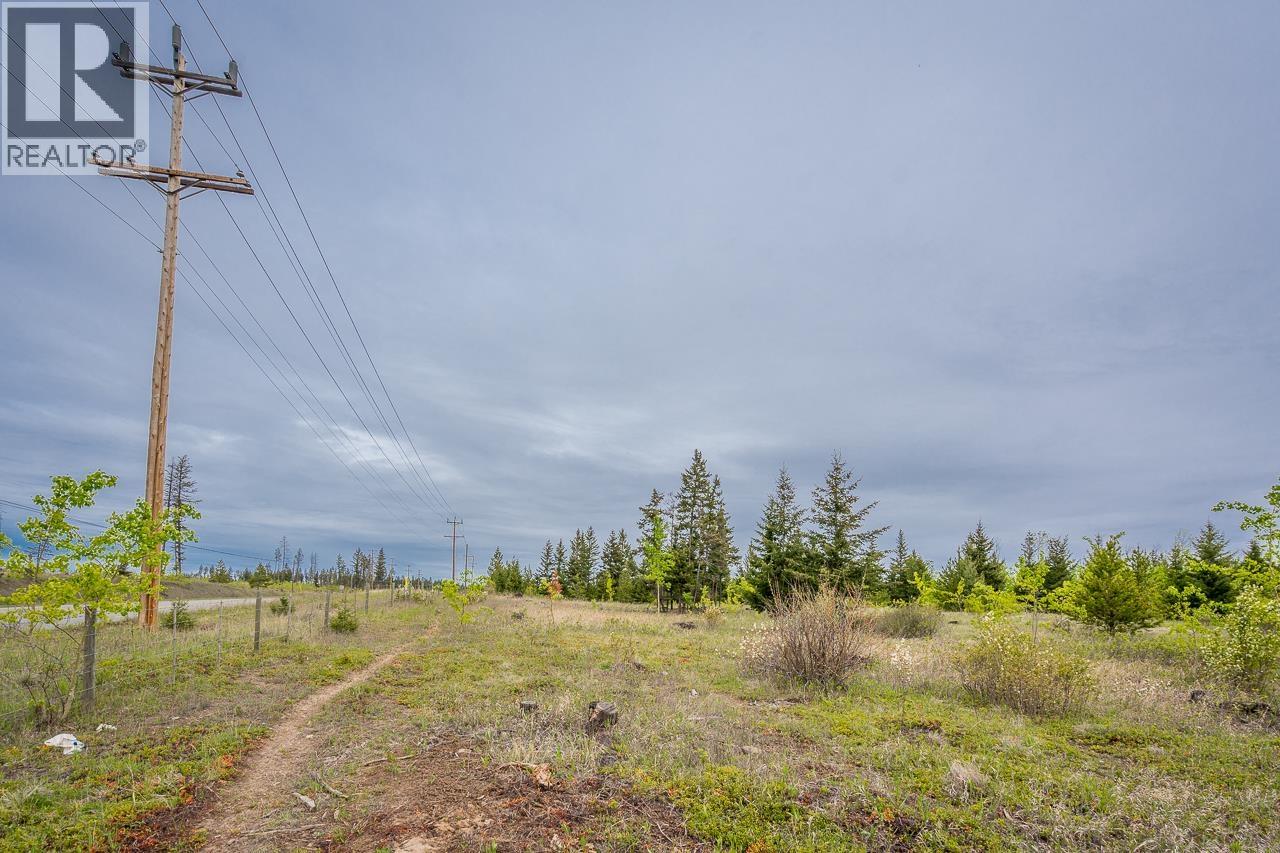 25 Cariboo 97 Highway, 100 Mile House, British Columbia  V0K 2E1 - Photo 3 - R3128527