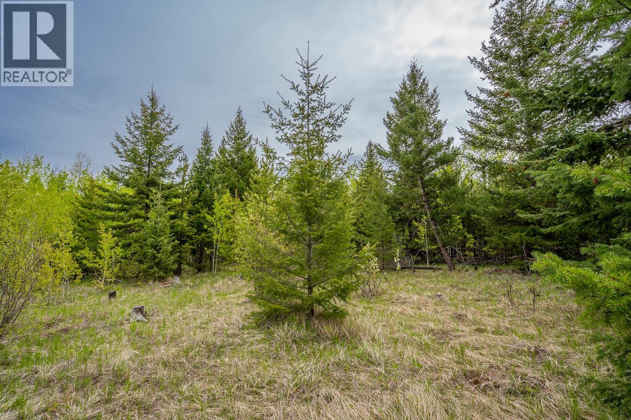 25 Cariboo 97 Highway, 100 Mile House, British Columbia  V0K 2E1 - Photo 7 - R3128527