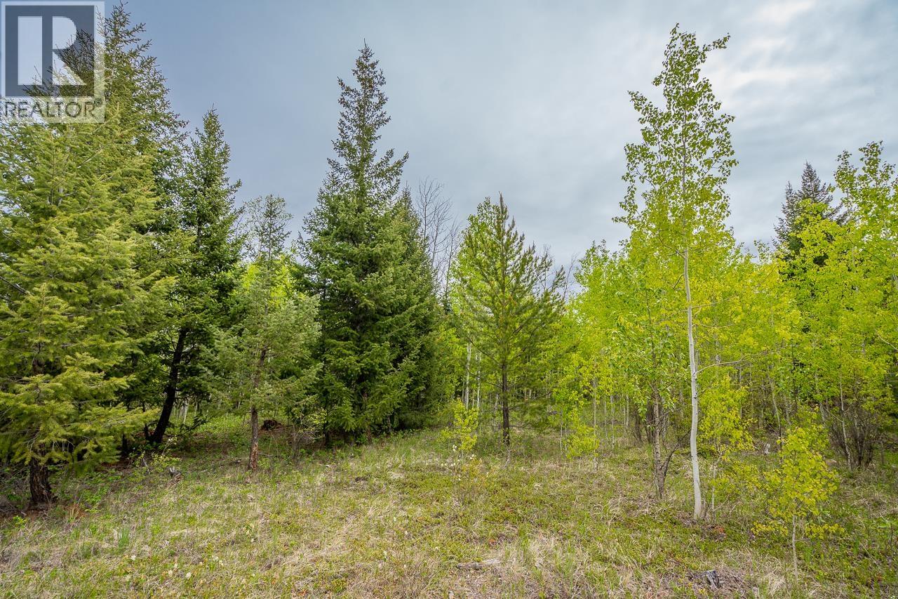 25 Cariboo 97 Highway, 100 Mile House, British Columbia  V0K 2E1 - Photo 8 - R3128527