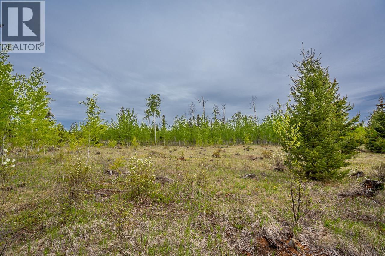 25 Cariboo 97 Highway, 100 Mile House, British Columbia  V0K 2E1 - Photo 9 - R3128527