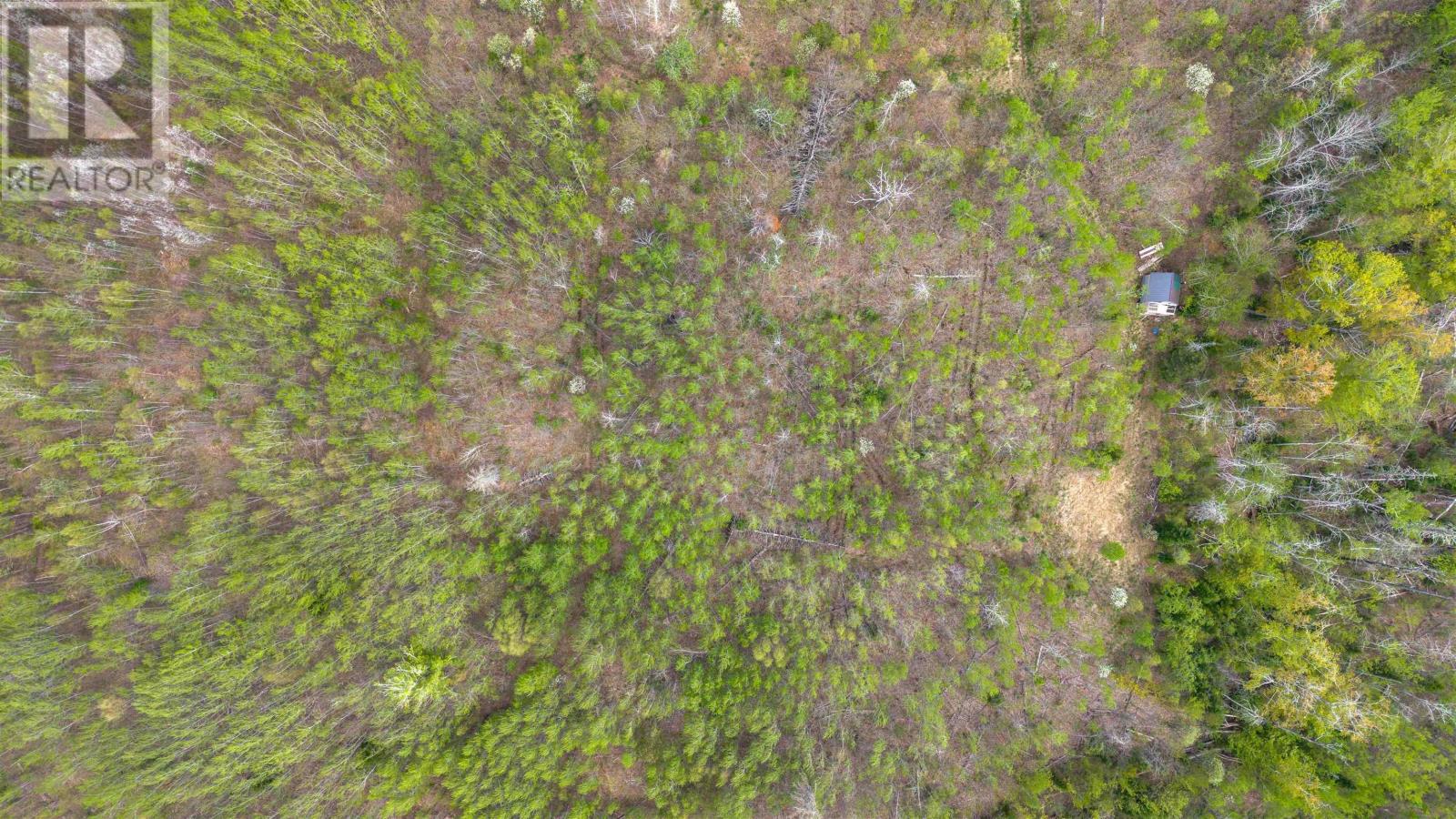 Jersey Road, Westchester Valley, Nova Scotia  B0M 2A0 - Photo 7 - 202529445