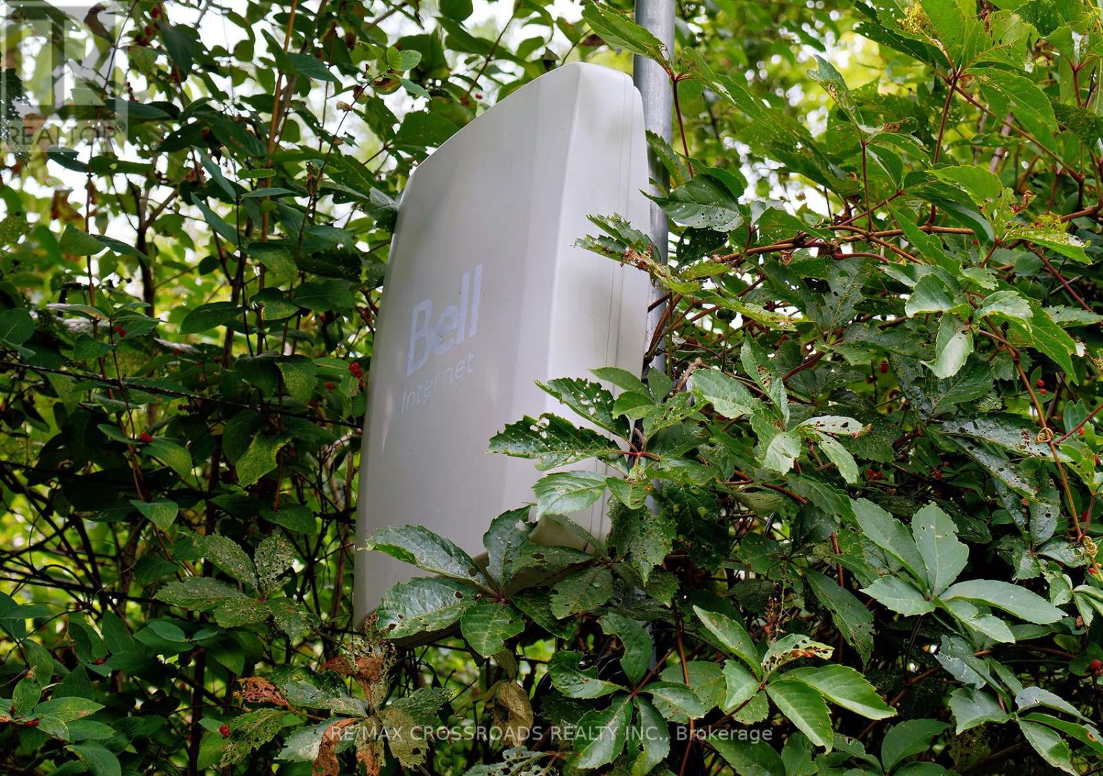 Spruce 40 - 15014 Ninth Line, Whitchurch-Stouffville, Ontario  L0G 1E0 - Photo 32 - N13169998