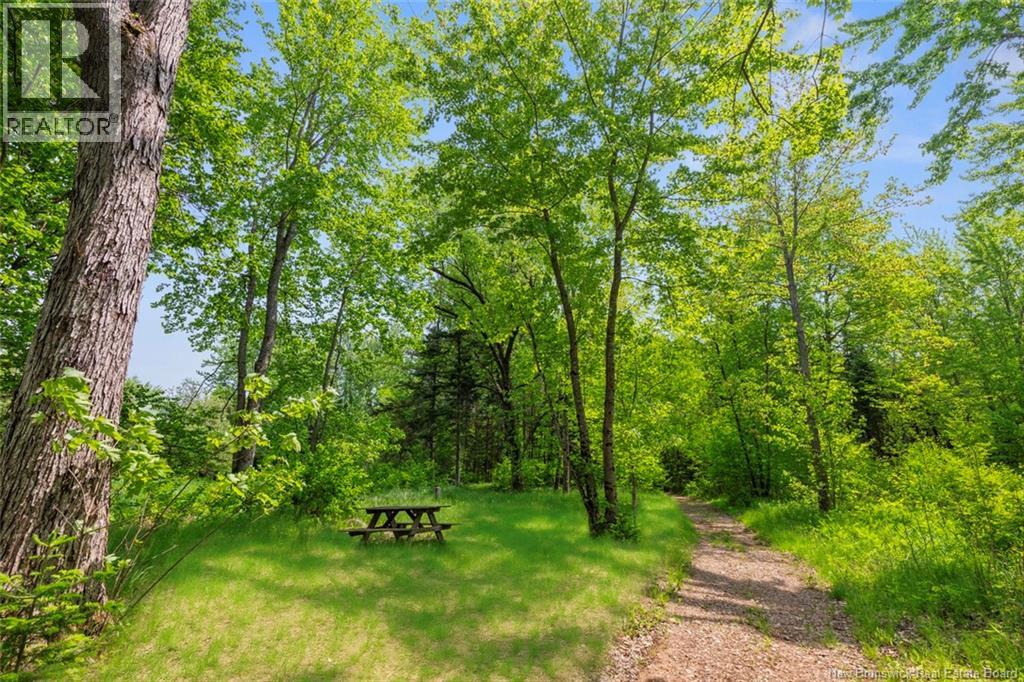 423 Salisbury Back Road, Salisbury, New Brunswick  E4J 1K3 - Photo 26 - NB140434